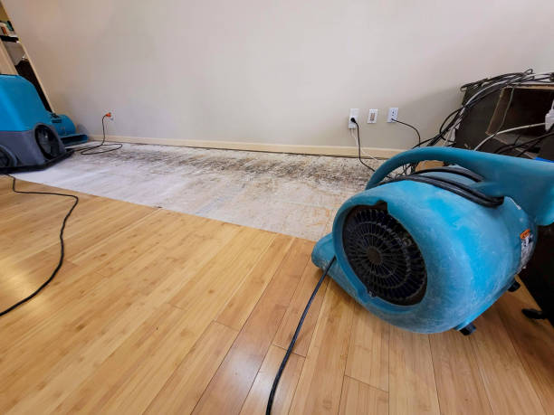 Professional Basement Flood Cleanup technician working in Leesville, OH